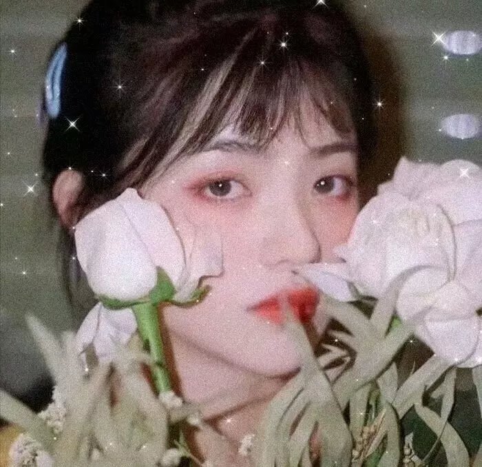 睡美人的诅咒